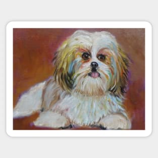 Puppy Shih Tzu Sticker